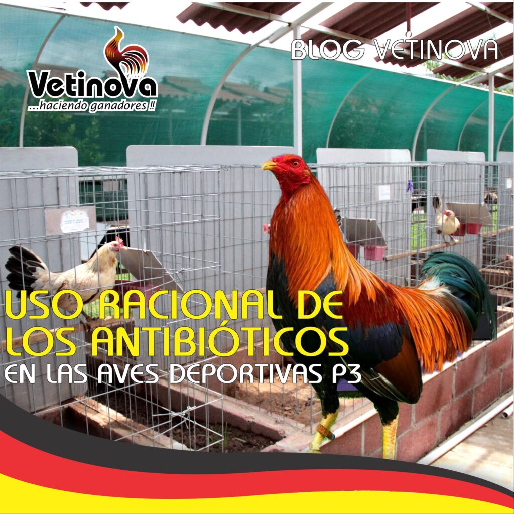 Greenvet