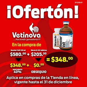 Oferta Rooster Volt