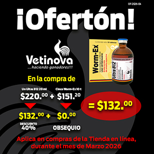 Un Ultra B12 20 ml + Cinco Worm-Ex 10 t