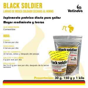 Black Soldier